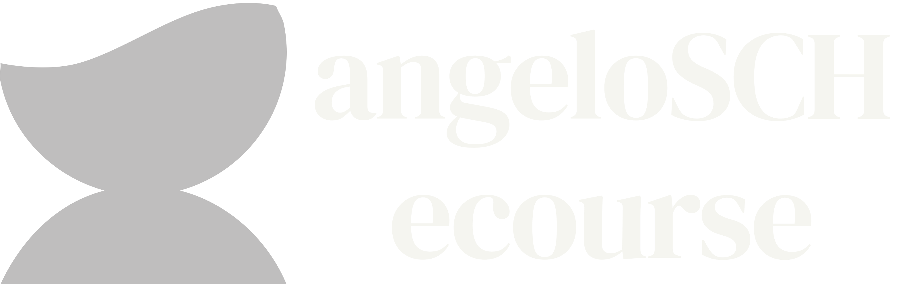 angeloSCH ecourse